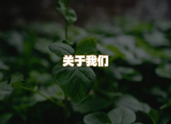 关于华净工业除尘网